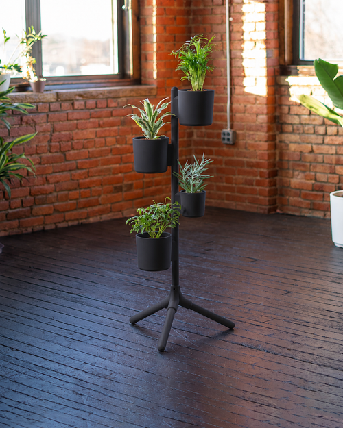 NORUM Tripod - Essentials Setup