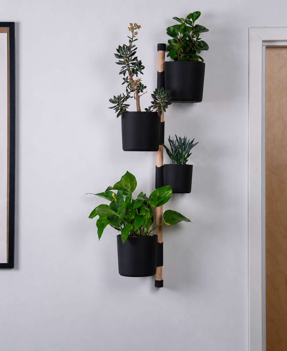 NOVUM Vertical - Essentials Setup