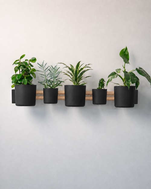 NORUM Horizontal - Essentials Setup
