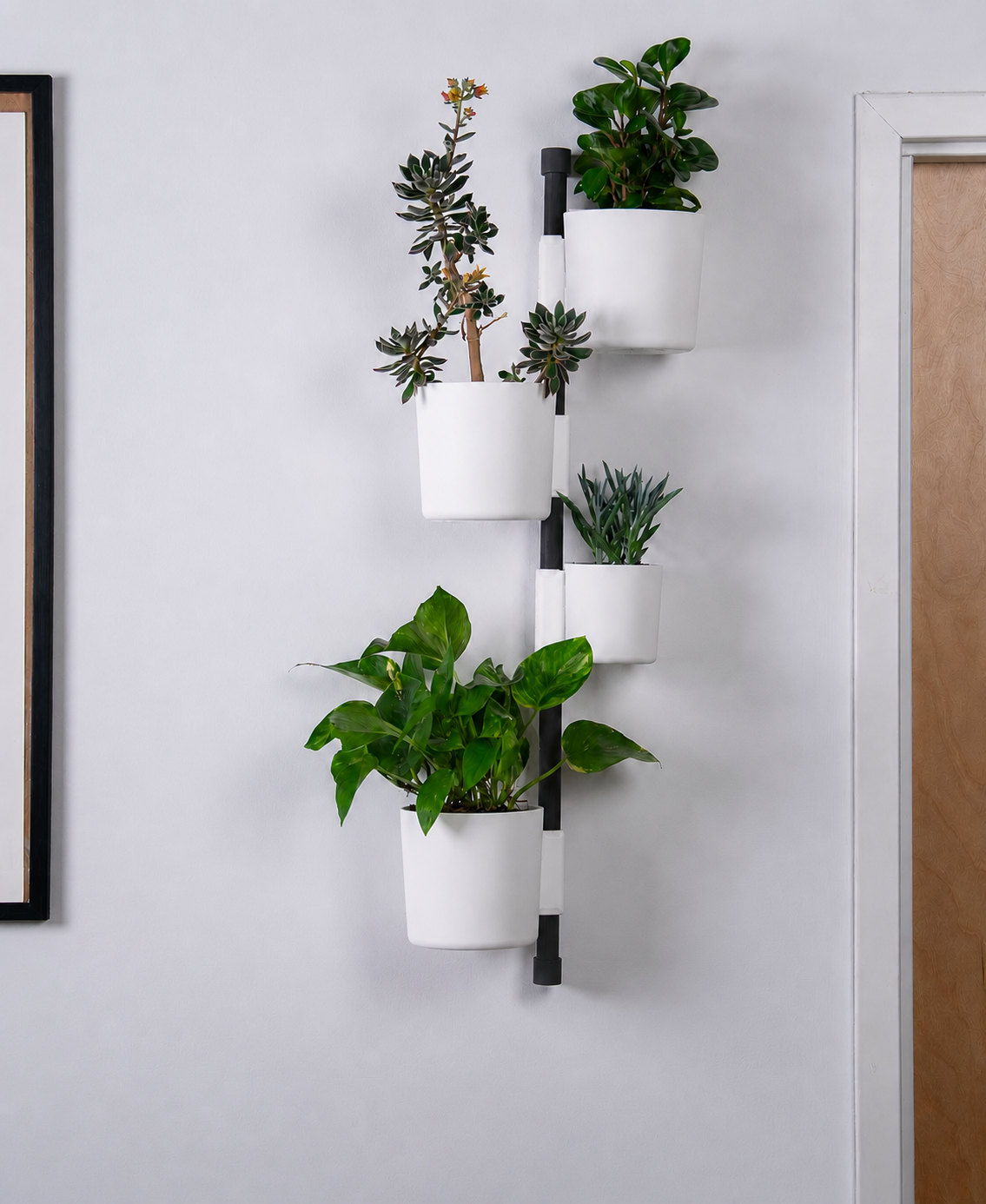 NOVUM Vertical - Essentials Setup