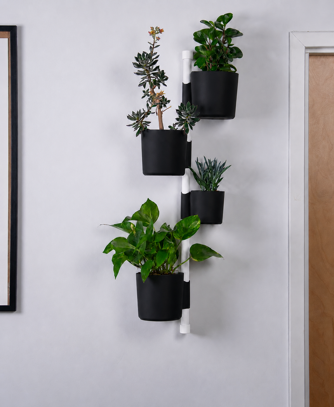 NOVUM Vertical - Essentials Setup