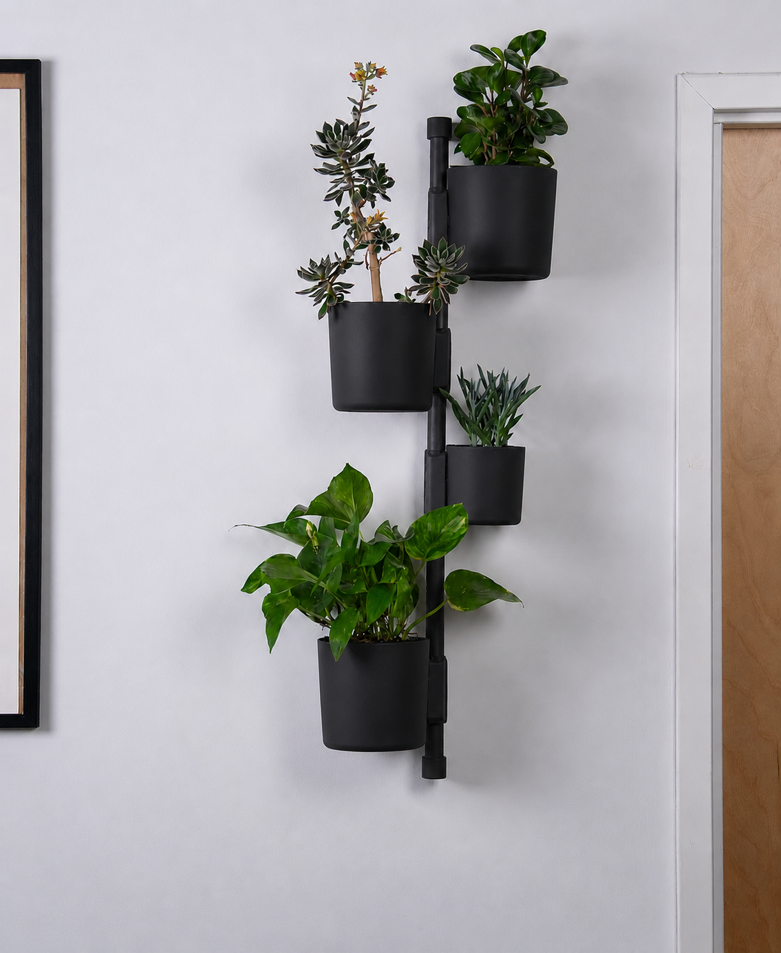 NOVUM Vertical - Essentials Setup