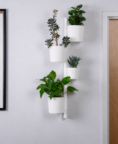 NOVUM Vertical - Essentials Setup